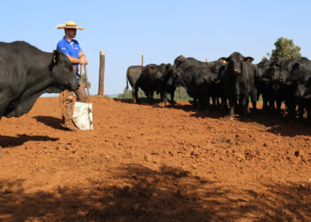 Foto: CooperAliança/Divulgação