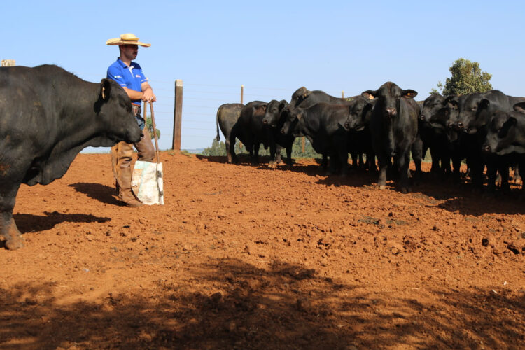 Foto: CooperAliança/Divulgação