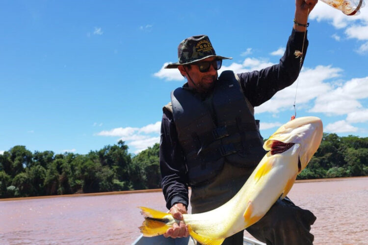 Começa a piracema no Paraná