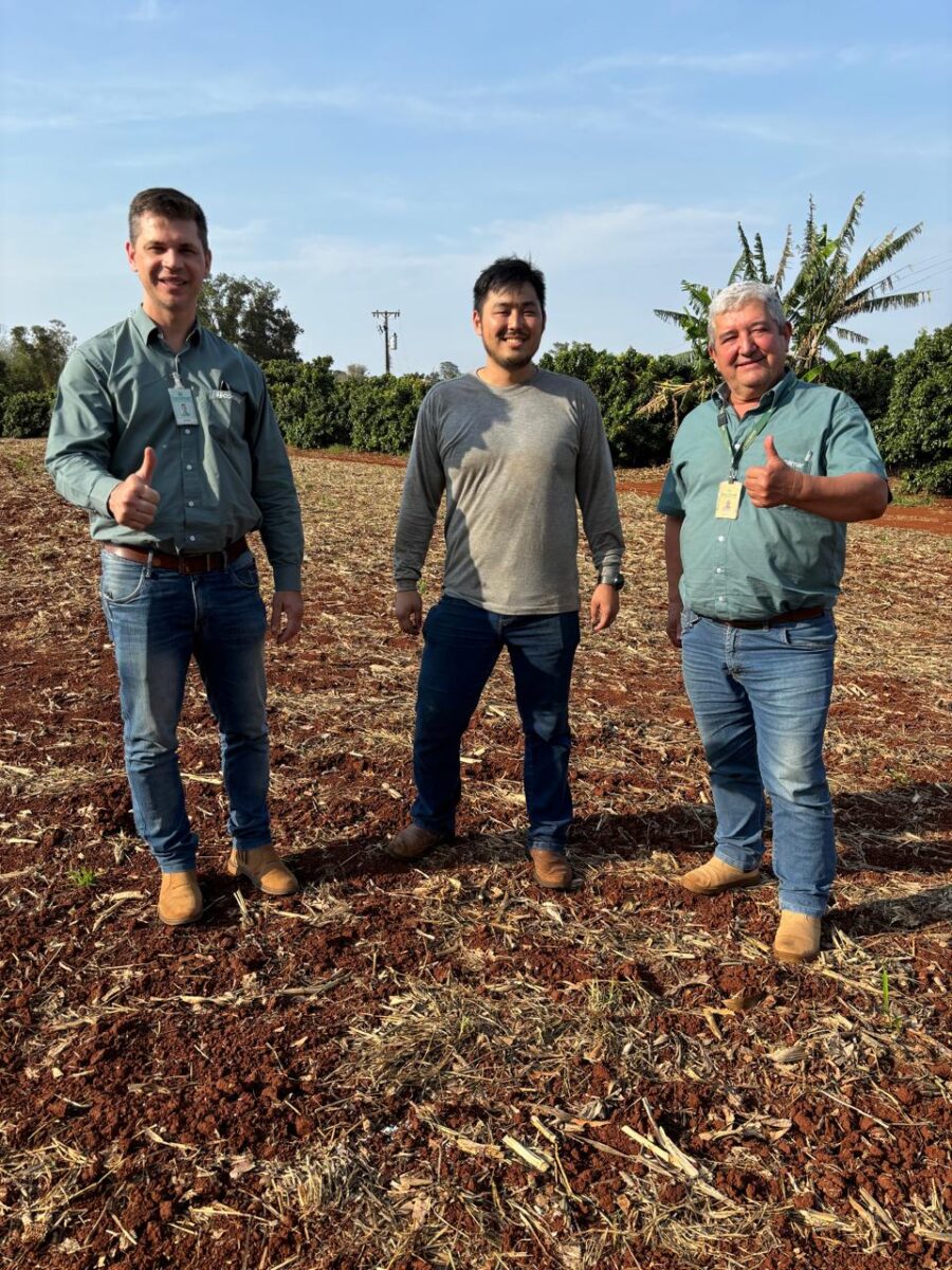 Produtores em solos arenosos são beneficiados pela natureza