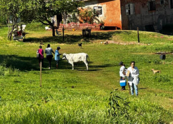 O levantamento de informações, investigação epidemiológica e coleta de dados se deu por conta da constatação de alguns casos da doença em equinos - Foto: Sesa