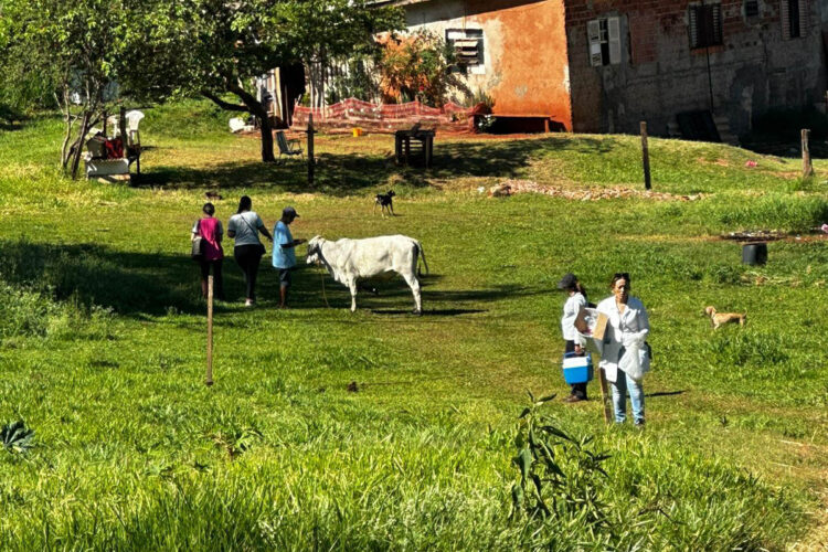 O levantamento de informações, investigação epidemiológica e coleta de dados se deu por conta da constatação de alguns casos da doença em equinos - Foto: Sesa