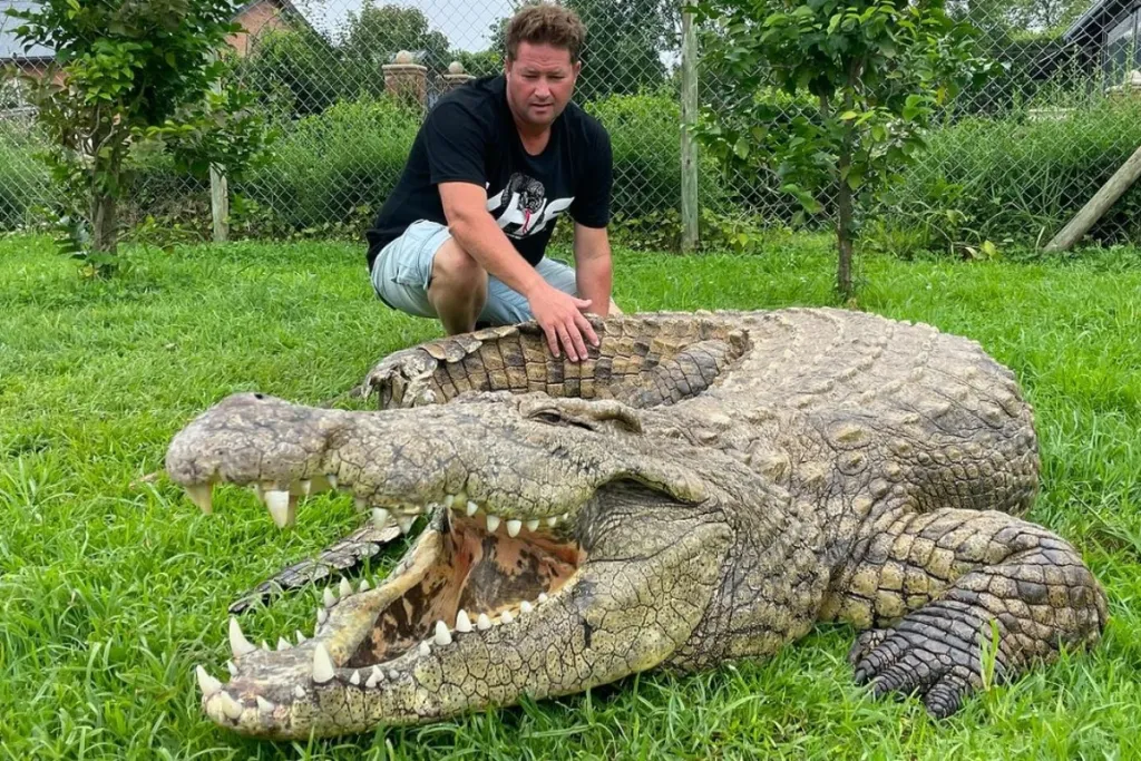 Grahan Dinkelman, o Dingo, morre por mordida de cobra