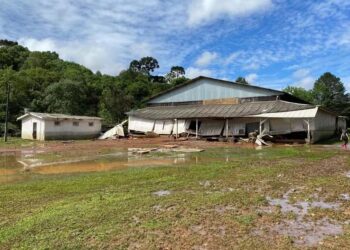 Menina de dois anos é arrastada pelas enxurradas