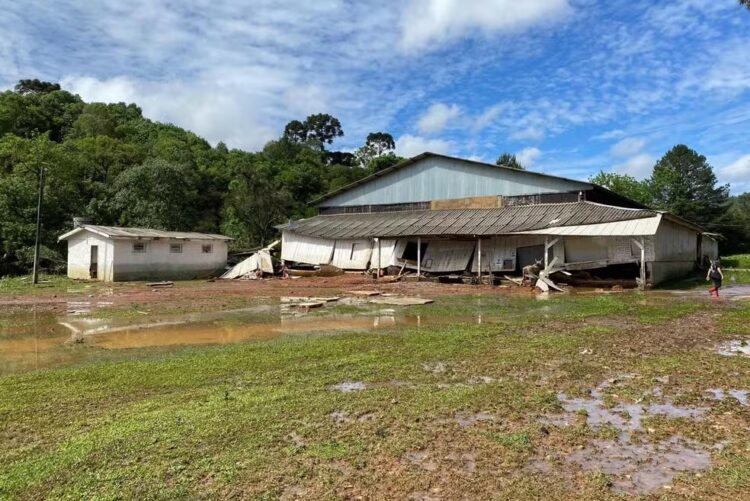 Menina de dois anos é arrastada pelas enxurradas