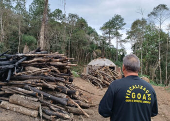 No IAT, a denúncia deve ser registrada junto ao serviço de Ouvidoria, disponível no Fale Conosco, ou nos escritórios regionais - Foto: IAT