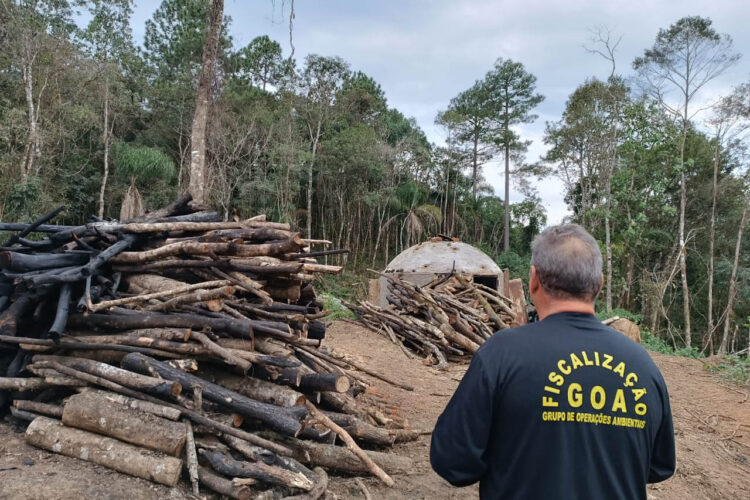 No IAT, a denúncia deve ser registrada junto ao serviço de Ouvidoria, disponível no Fale Conosco, ou nos escritórios regionais - Foto: IAT