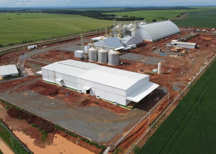 A primeira estrutura da Cocamar no Mato Grosso levou em conta que o Estado é campeão de produção agrícola   Foto: Cocamar