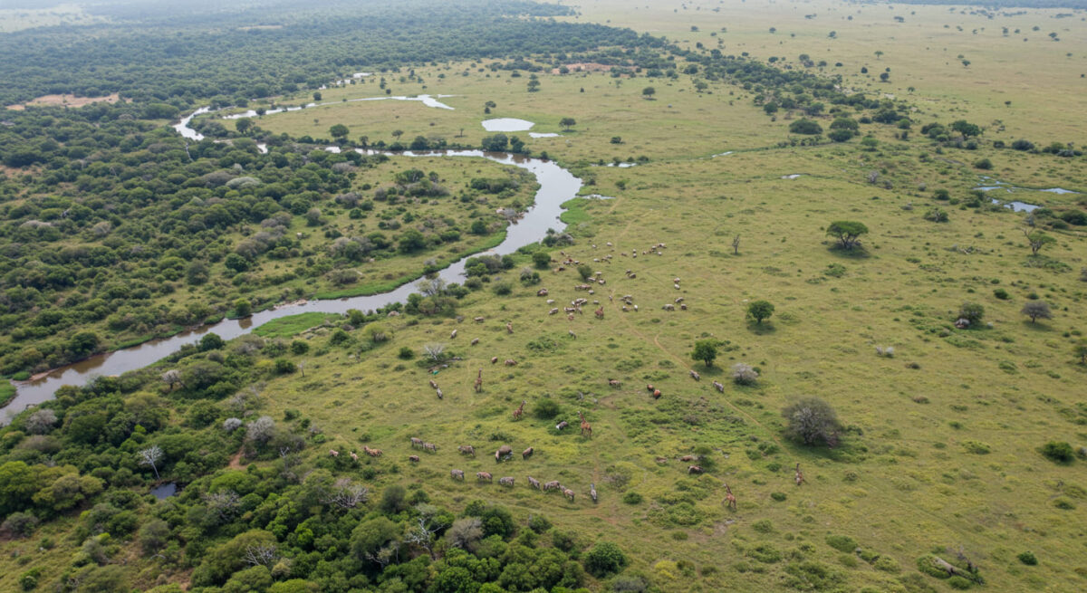 Dia Nacional das Reservas Particulares do Patrimônio Natural