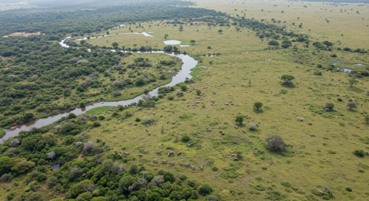 Dia Nacional das Reservas Particulares do Patrimônio Natural