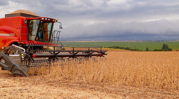 Com aumento na soja (15,4% ou 22,3 milhões de toneladas), safra de 2025 deve ter alta de 10,2% (Foto: Gilson Abreu AEN/PR)