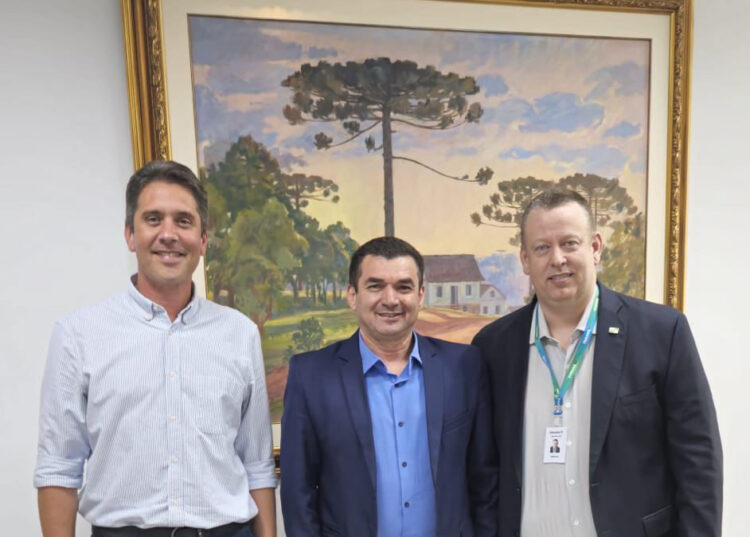 Reunião do presidente da AMP com representantes do governo (Crédito: AMP)