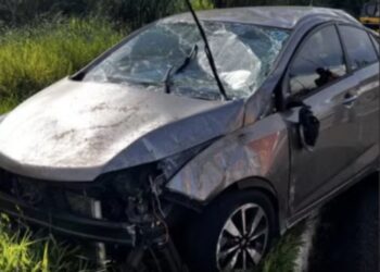 Cachorro pula no colo de motorista e carro tomba com duas crianças na BR-376