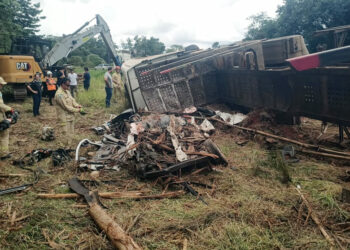 mãe, filha e genro morrem esmagados por toras