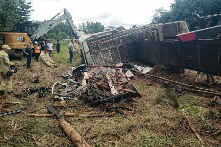 mãe, filha e genro morrem esmagados por toras