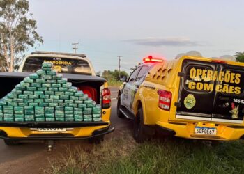 pasta base de cocaína apreendida em carreta na PR-323