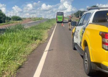 morador de Doutor Camargo morre atropelado na PR-323