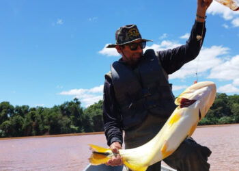 Com o fim da piracema, Paraná libera a pesca de espécies nativas