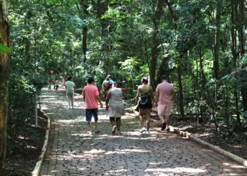 Movimento de famílias neste domingo, 2 março, no interior do Parque do Ingá (Crédito: Cristiano Martinez)