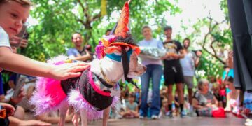 Carnapet 2026 será neste domingo em frente ao Parque do Ingá