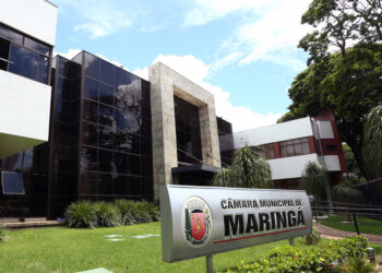 A equoterapia utiliza o cavalo na abordagem interdisciplinar como instrumento, visando trabalhar aspectos motores, cognitivos e afetivos - Foto: CMM