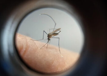 De imediato vai ser feita a contratação de médicos para amenizar a aglomeração de pacientes e em seguida a reestruturação e reformas necessárias - Foto: SESA