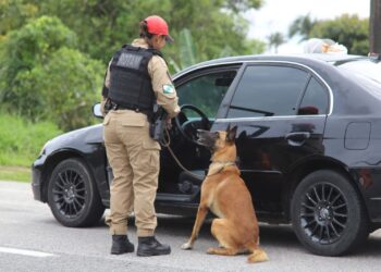 Equipes especializadas, como o Canil e a Rotam (Rondas Ostensivas Táticas Móveis), também serão empregadas estrategicamente em apoio às atividades de fiscalização e combate à criminalidade em rodovias (Crédito: PMPR)