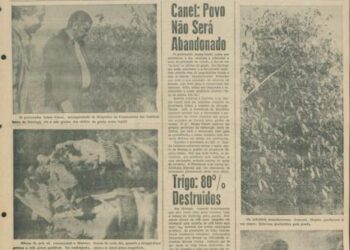 Credito: Tiago Valenciano/PMM