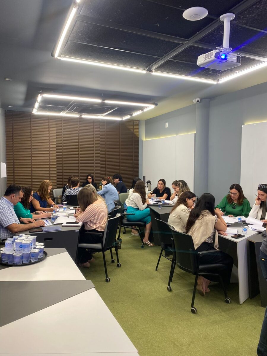 Napi, arranjo de inovação e integração dos serviços de saúde