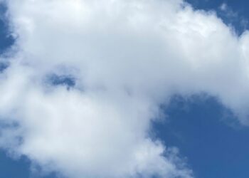 Crédito: Divulgação