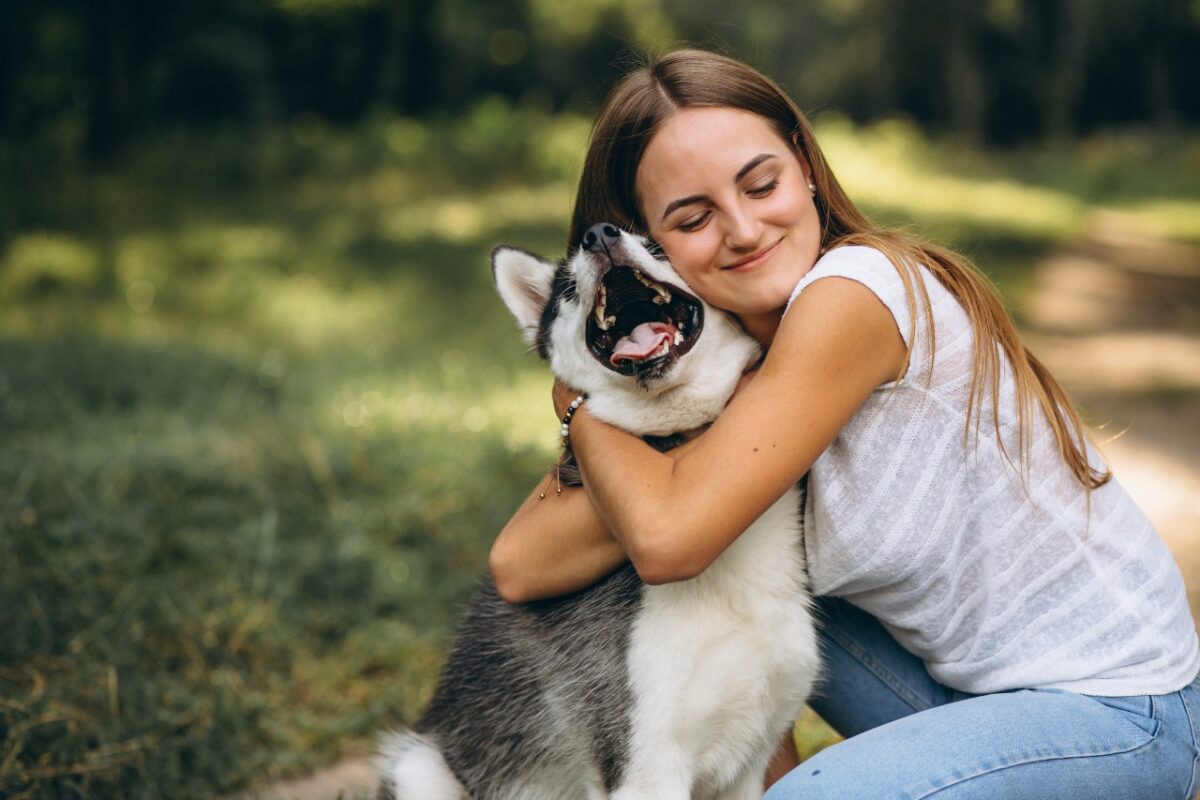 Ferramenta ajuda a encontrar cães e gatos perdidos