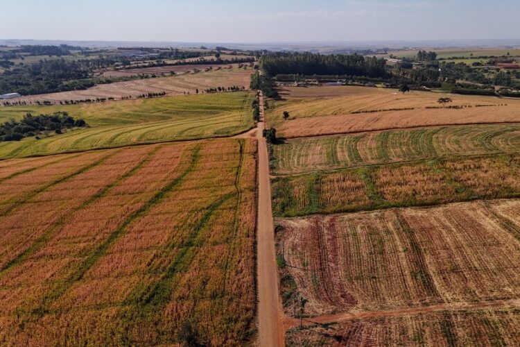 As estradas rurais São Domingos e 200 serão pavimentadas com recursos da Itaipu Binacional