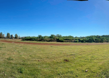 Instituto Federal do Paraná abre licitação para construção do campus de Maringá