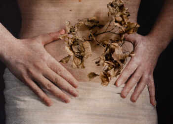 Crédito: Divulgação