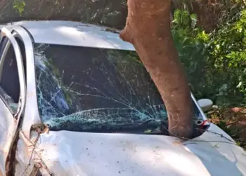 galho cai sobre o carro e deixa duas mulheres feridas