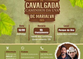 Crédito: Reprodução