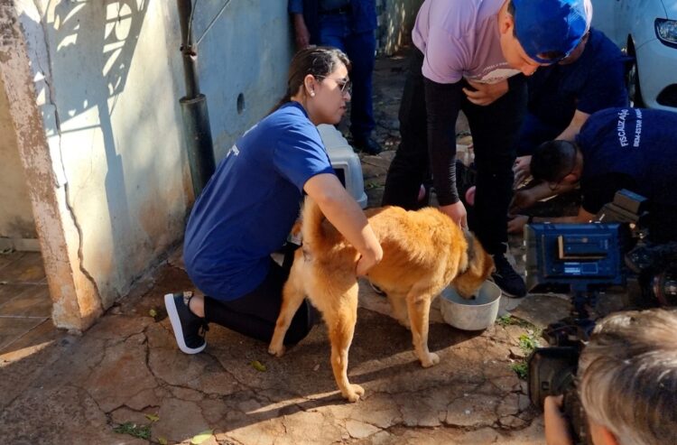 Cães são abandonados sem água e sem comida em casa da Vila Santa Izabel