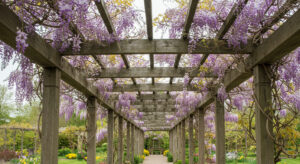 Pergolados para Jardim: As Tendências de Paisagismo que Ganham Força em 2027