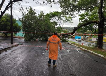 Credito: Divulgação / PMM