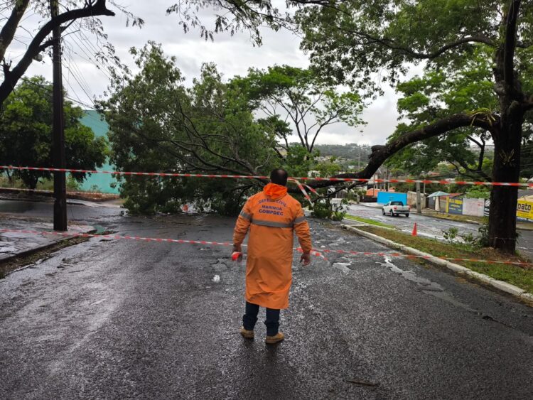 Credito: Divulgação / PMM