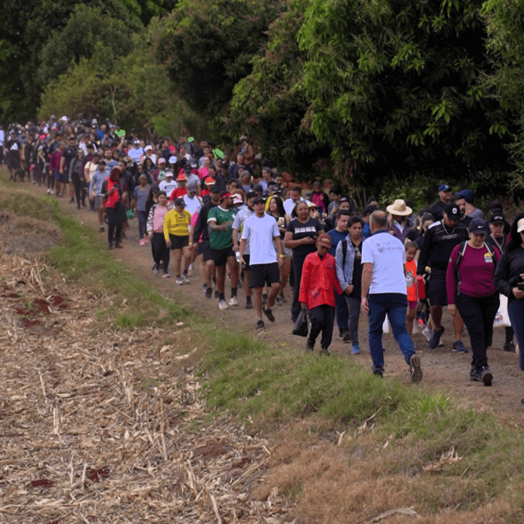 Sarandi realiza caminhada na natureza com quase 4 mil participantes