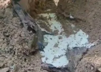 Encontrado carro enterrado em bunker na zona rural de Icaraíma