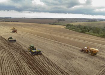 Safra da soja  -  Foto: Gilson Abreu/AEN