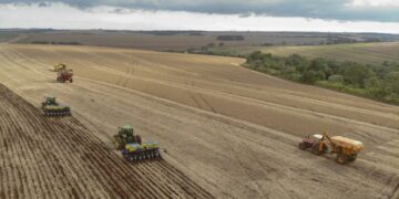 Safra da soja - Foto: Gilson Abreu/AEN