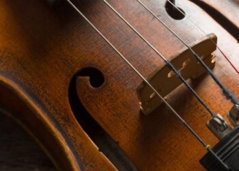 Crédito: Ilustrativa/Freepik