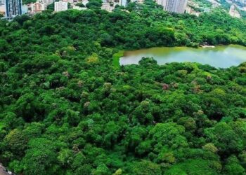 Evento será no Parque do Ingá (Crédito: Arquivo/PMM)