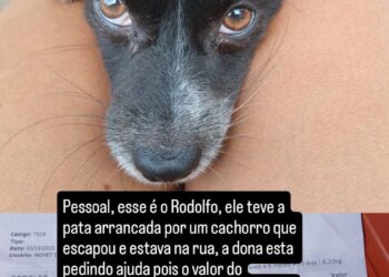 Imagem: Divulgação