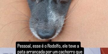 Imagem: Divulgação