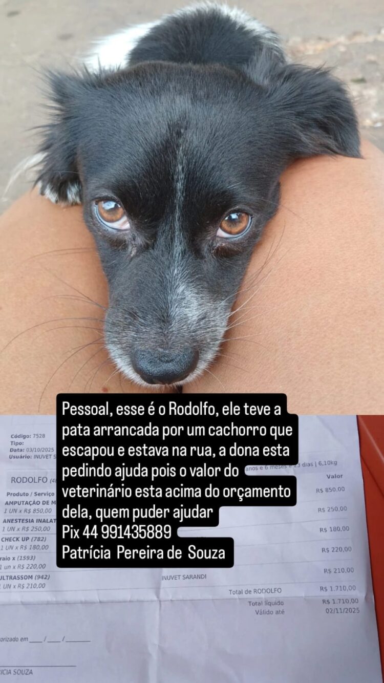 Imagem: Divulgação