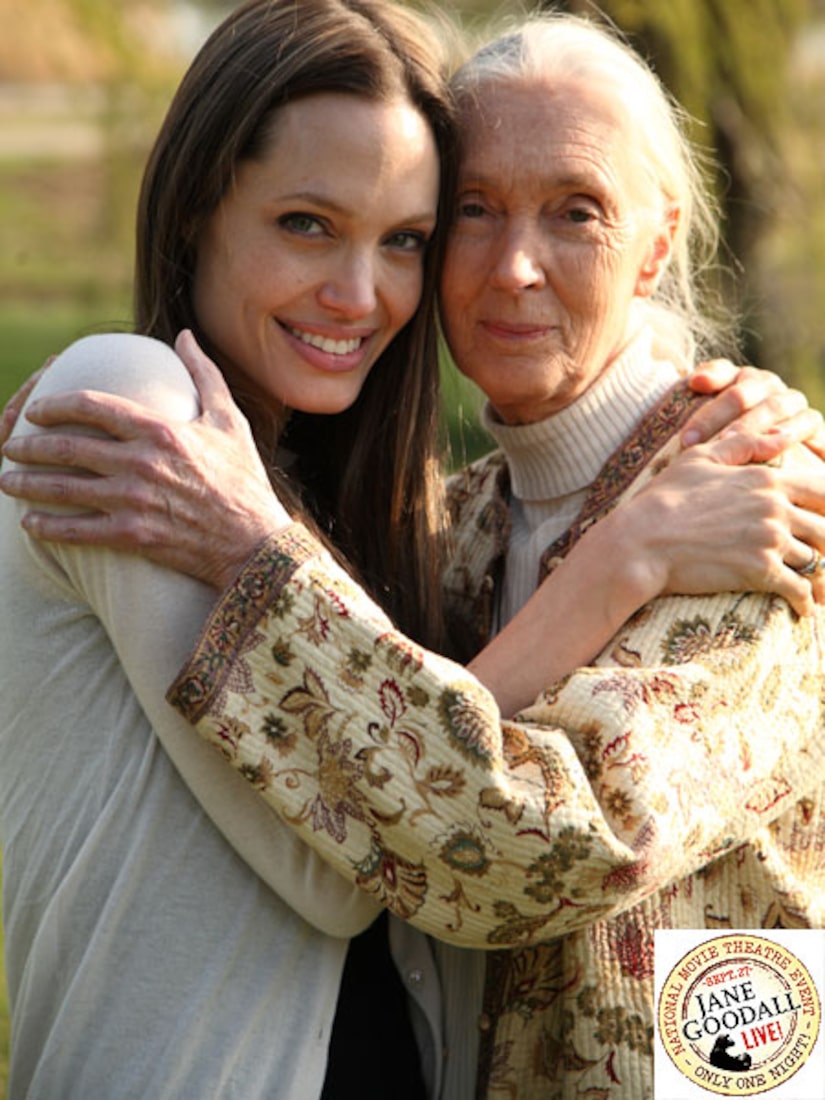 Morre aos 91 anos a cientista e ativista Jane Goodall